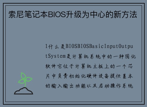 索尼笔记本BIOS升级为中心的新方法